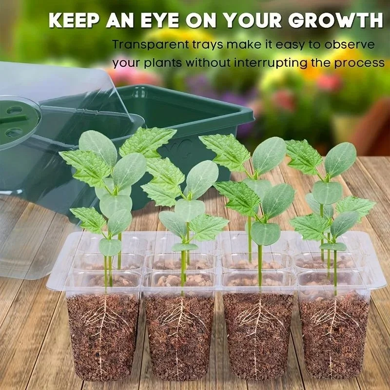 12Grids Seedling Trays Seed St - Dome Propagation Kit recensie en prijs