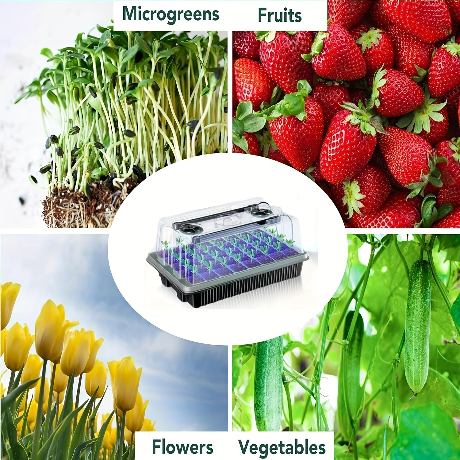 40/Cell Seed Starter Kit with  - Dome Propagation Kit recensie en prijs