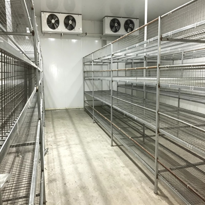Hydroponic Container Farm with - Urban Farming Project recensie en prijs