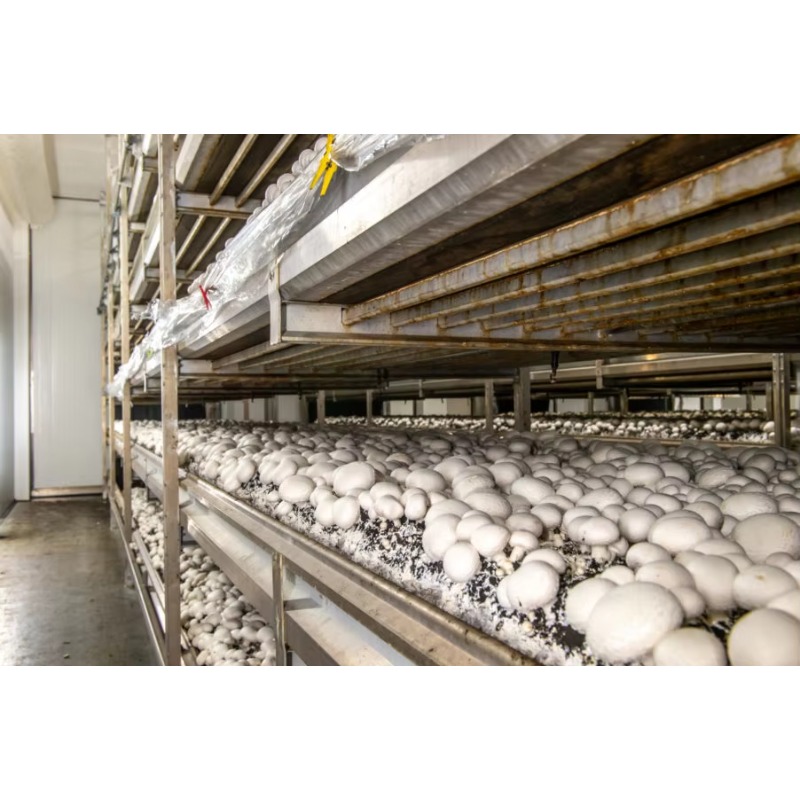Hydroponic Container Farm with - Urban Farming Project recensie en prijs