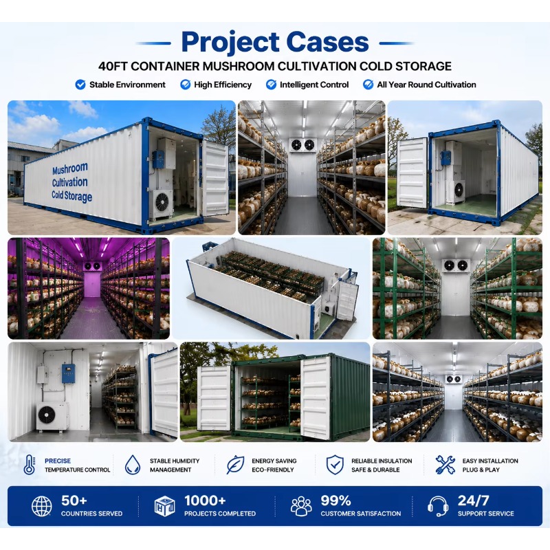 Hydroponic Container Farm with - Urban Farming Project recensie en prijs
