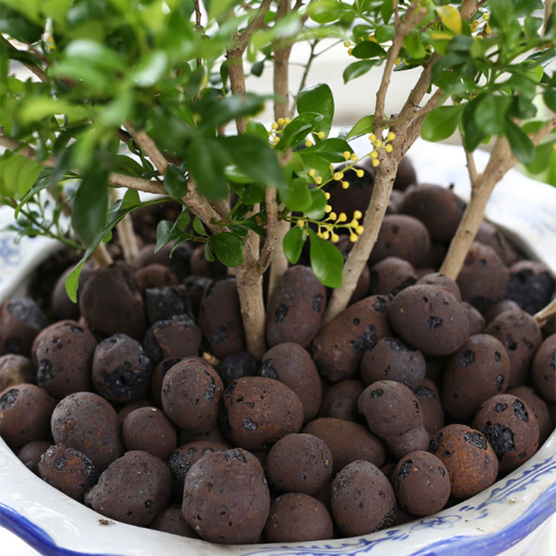 500g Organic light ceramsite C - Clay Pebble Growing recensie en prijs