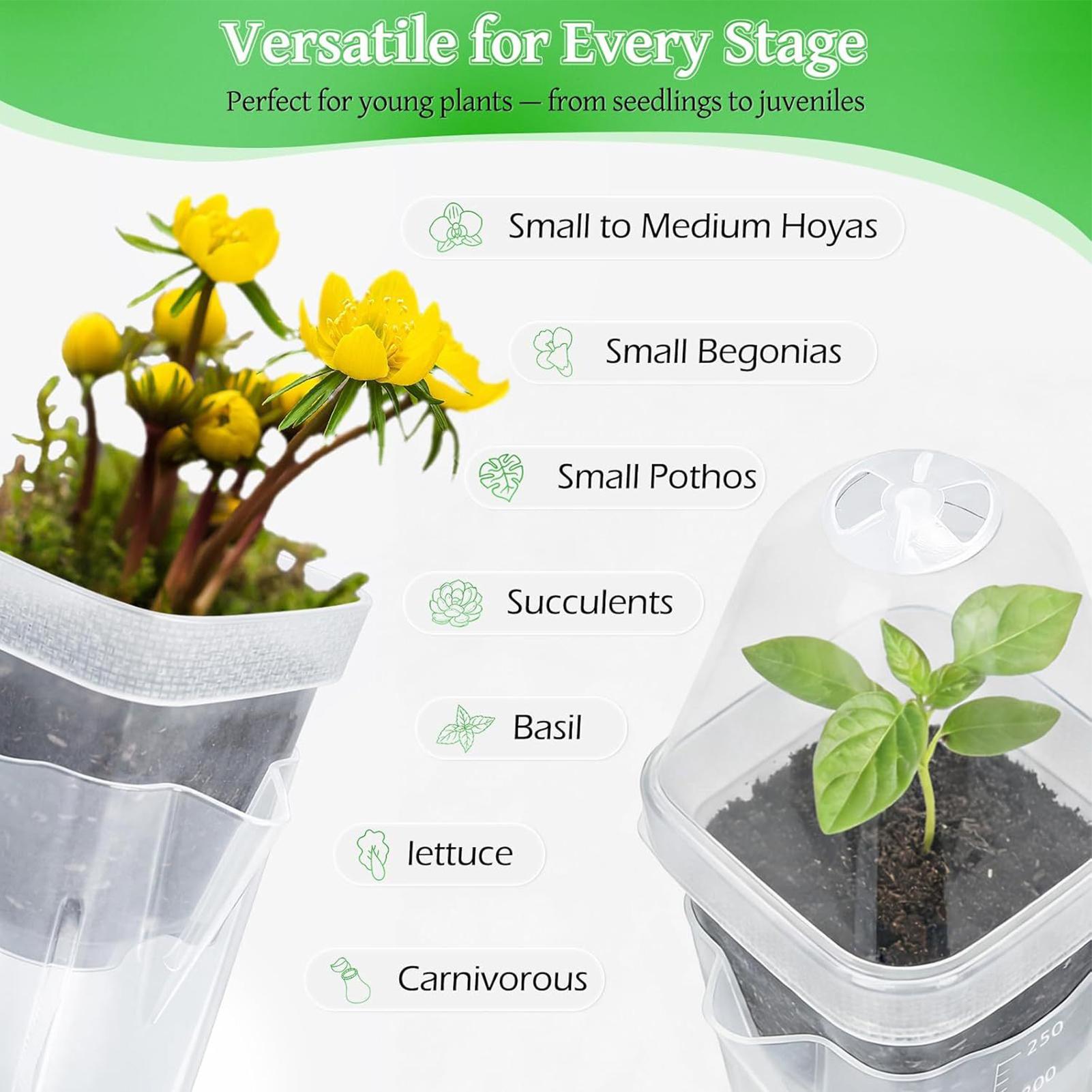 Self Watering Pots 12Pcs Seed  - Dome Propagation Kit recensie en prijs
