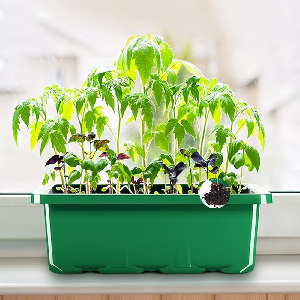 10pcs/set Seedling Trays Seed  - Dome Propagation Kit recensie en prijs