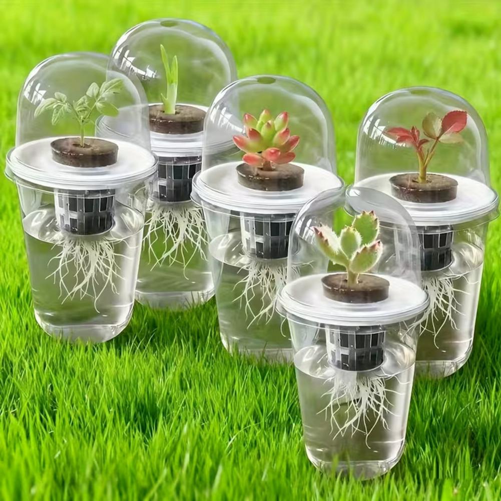 Hydroponic S Starter Cup Plant - Dome Propagation Kit recensie en prijs