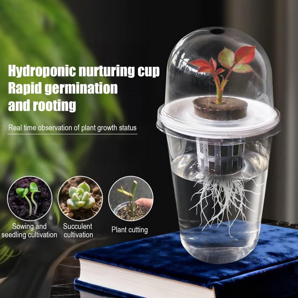 Hydroponic S Starter Cup Plant - Dome Propagation Kit recensie en prijs