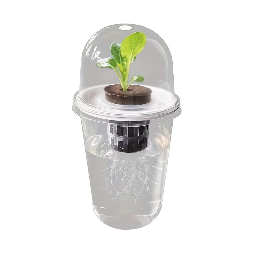Hydroponic S Starter Cup Plant - Dome Propagation Kit recensie en prijs